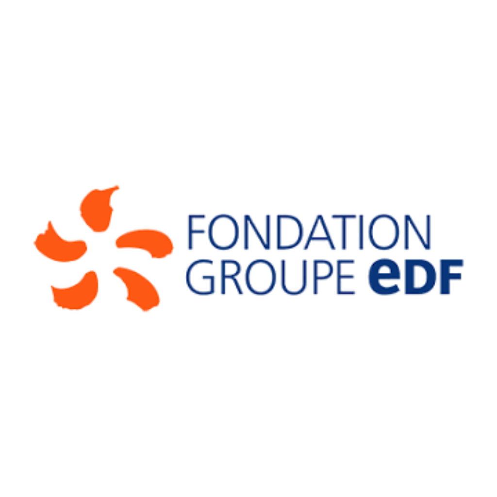 fondation-groupe-edf-logo