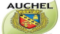 Ce logo est composé d'un feuille en arrière plan, d'un blason, jaune, rouge et bleu, avec un château, une couronne de feuilles et du titre "Auchel" en volume.