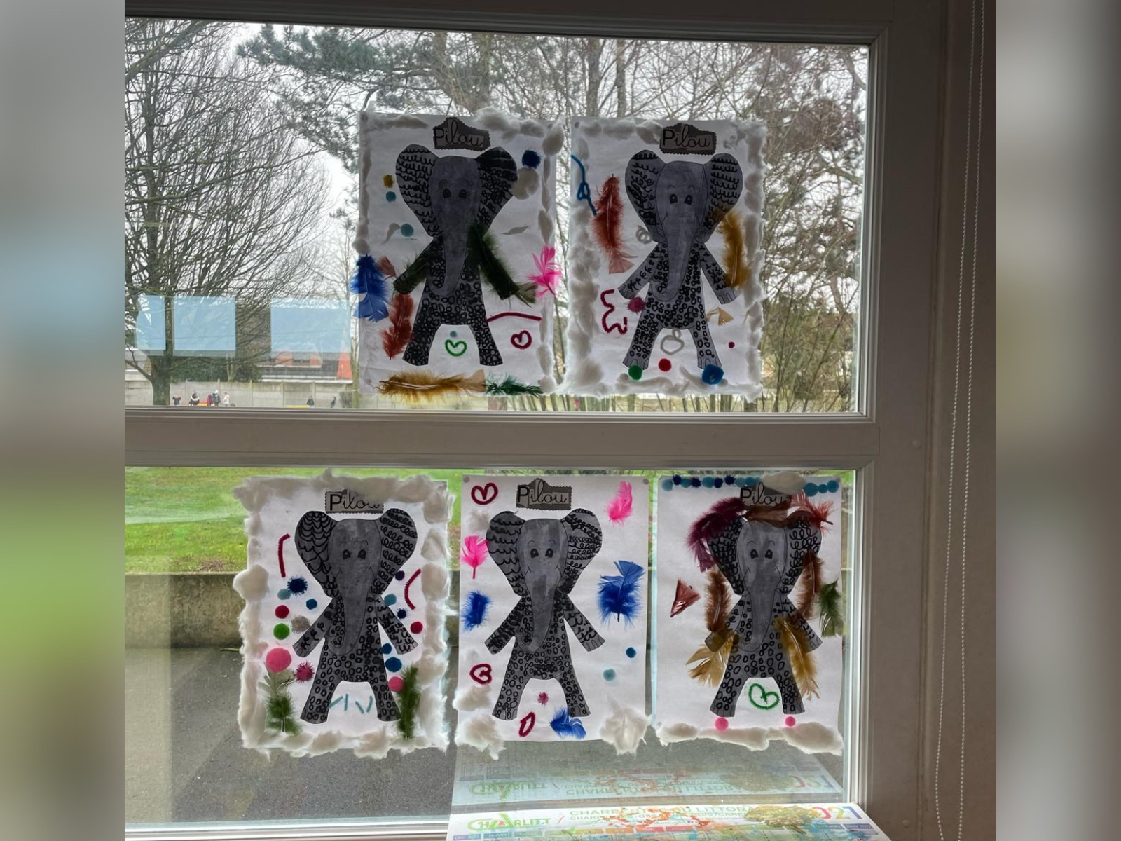 display pilou